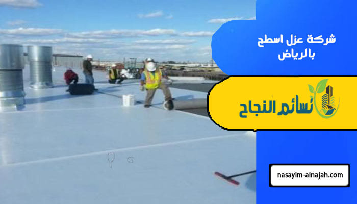 شركة عزل اسطح بالرياض